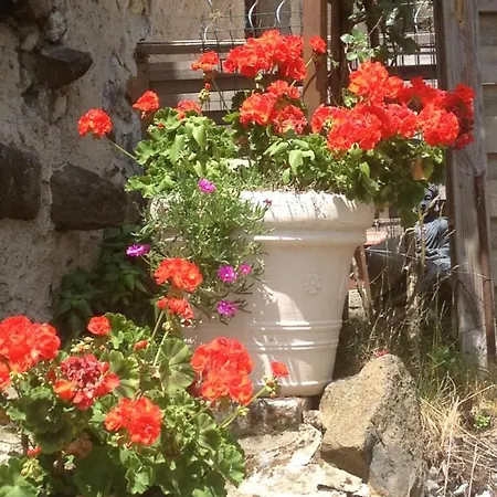 Hébergement de vacances Fraises Des Bois Saint-Priest (Ardeche)
